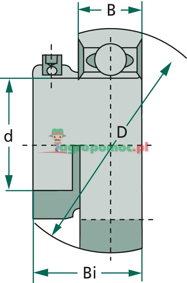 Radial insert ball bearing | zdjęcie nr 2